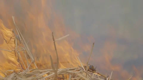 Fire05 Stock Footage 333330449