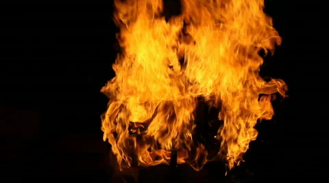 Fire1 Video stock 328489