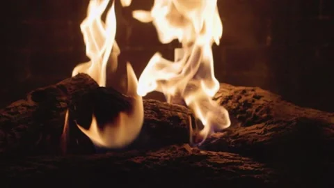 Fire1 動画素材 231425274