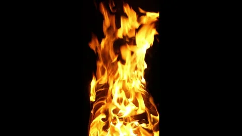 Fire2 Stock Footage 337547397