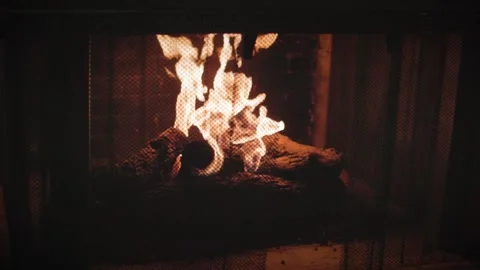 Fire3 動画素材 231425269