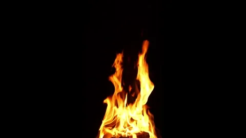Fire4 Stock Footage 337547417