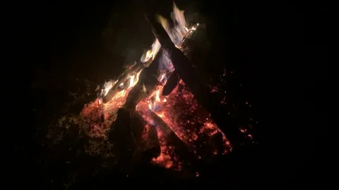 FIRE_Pan from Black to Fire in the Woods 動画素材 165140335
