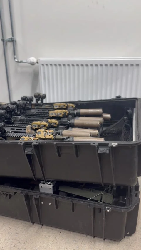 Firearms packed in protective transport cases Video stock 327071838