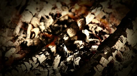 Firebrands of picnic campfire background Stock-Footage 42309788