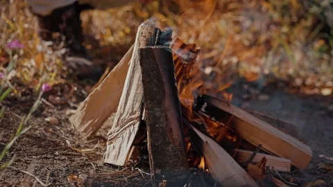 Firecamp in autumn forest Stock Footage 194370542