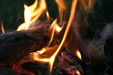 Firecamp burning in the field Stock Photos