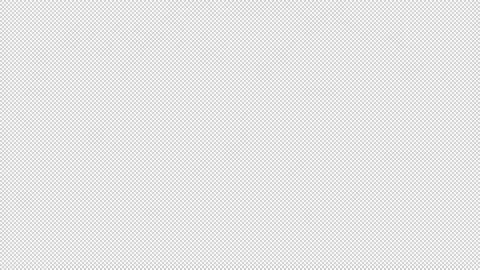 FireCracker 01 Stock Footage 216401646