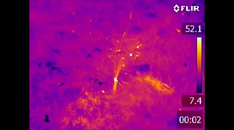 Firecracker - Flir Thermal Video Stock Footage 61390042