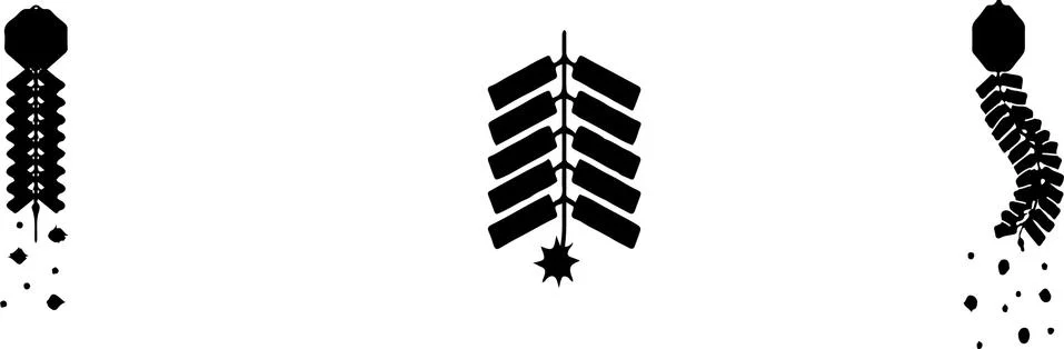 Firecracker icon on white background Illustrazione stock