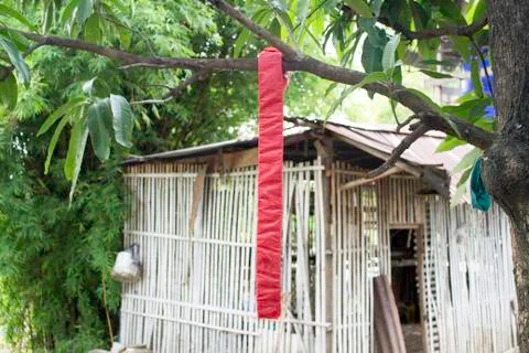 Firecracker 库存照片