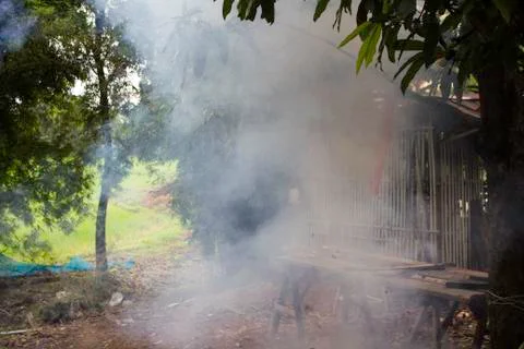 Firecracker Stock Photos