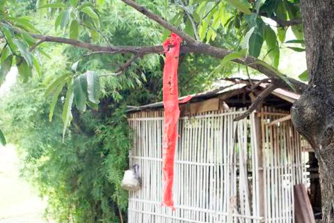 Firecracker Stock Photos