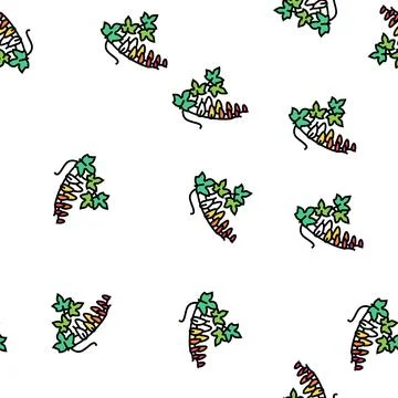 Firecracker vine vector seamless pattern Stock Illustration