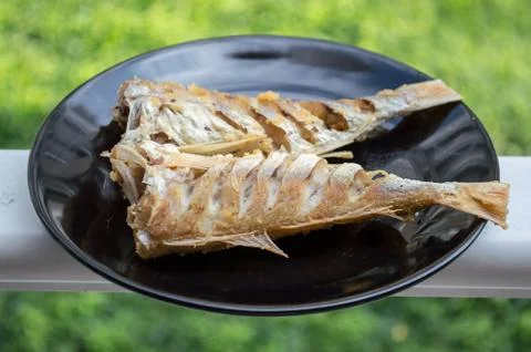 Fired fish Stock Photos