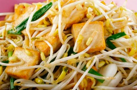 Fired tofu with bean sprout Stock Photos