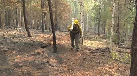 Firefighter with chain saw walking past camera Stock Footage 40752050