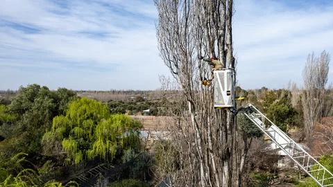 Firefighter with chainsaw pruning at heights. Stock Photos