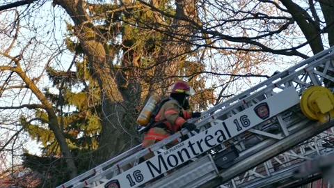 Firefighter climbing ladder Stock Footage 138530708