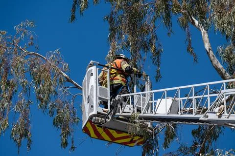Firefighter doing tree rescue on top of ladder truck. Foto stock