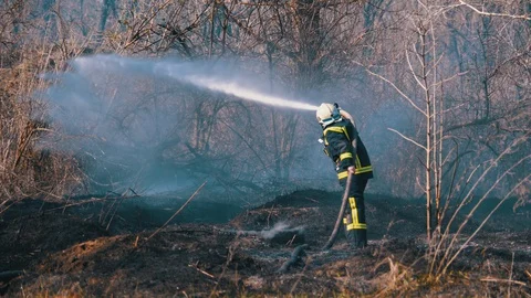 Firefighter in Equipment Extinguish Forest Fire with Fire Hose. Wood, Spring day Stock Footage 128651171