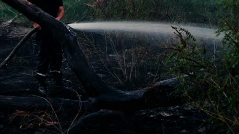 Firefighter extinguishes fire 库存影片 92139851