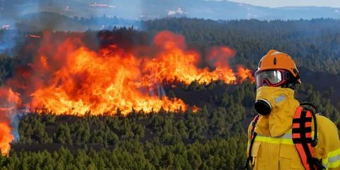 Firefighter fighting forest fire Stock Photos
