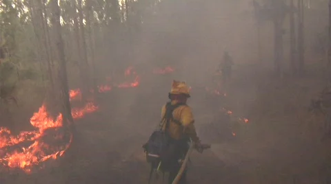 Firefighter fights wildfire fire in Florida Everglades Stock Footage