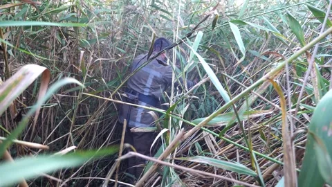 Firefighter going through long dry grass at countryside. Professional fireman Stock-Footage 307284457