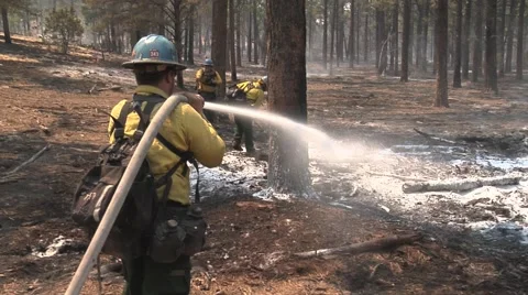 Firefighter with hose over shoulder spraying foam Stock Footage 40753768