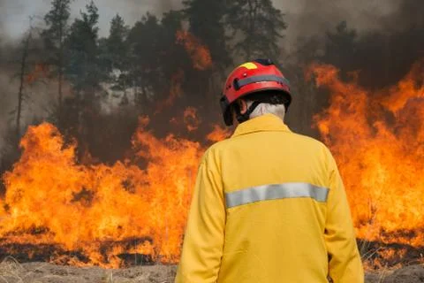 Firefighter looking on forest fire Stock Photos