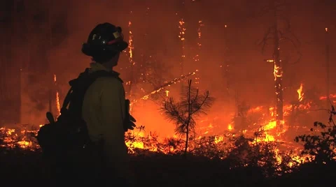 Firefighter observing fire at night Stock Footage 40953352