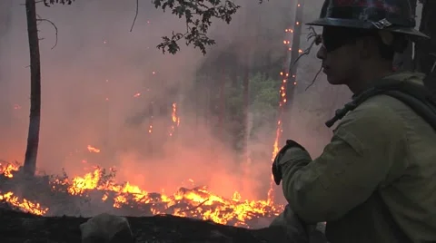 Firefighter obvserving fire looking for hot spots Stock Footage 40954843