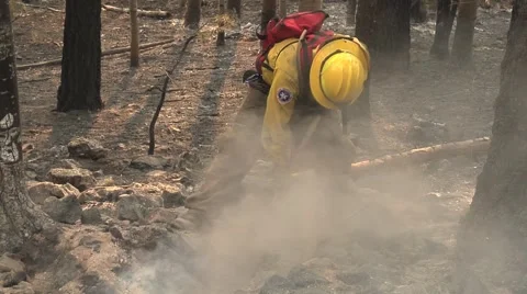 Firefighter with polaski digging hot spots Video stock 40752209
