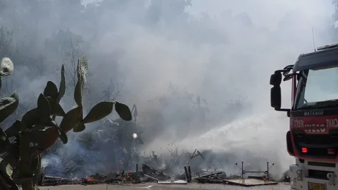 Firefighter protect trees by spraying  water on waste fire to avoid big fire Видео 116770418
