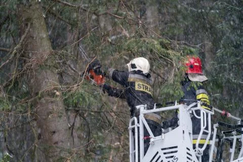 Firefighter pruning trees in snow Stock Photos