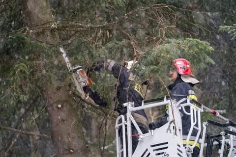 Firefighter pruning trees in snow Stock Photos