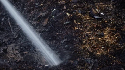 Firefighter puts out the fire Stock Footage 106264794