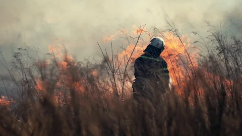 Firefighter puts out a forest fire near the city. Burning grass with smoke Video stock 127671556