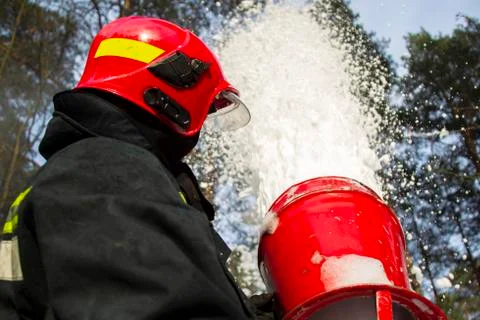 Firefighter puts out a forest fire. Fireman with hoses with foam on the Stock Photos