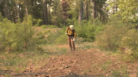 Firefighter raking ground creating a fireline Stock Footage 40955122