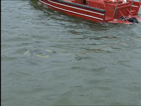 Firefighter scubadiver in Antwerp docks Stock Footage 637244