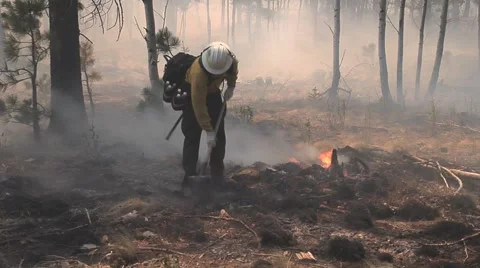 Firefighter with shovel controlling hot spot Stock Footage 40751981