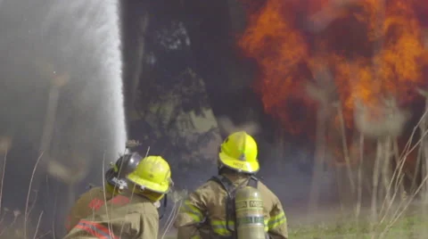 Firefighter spray fire in tree in closeup Stock Footage 61174991