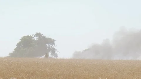 Firefighter tackling a wildfire Stock Footage 245395235