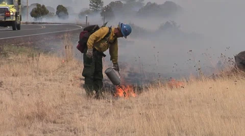 Firefighter with torch setting a back burn Stock Footage 40751537