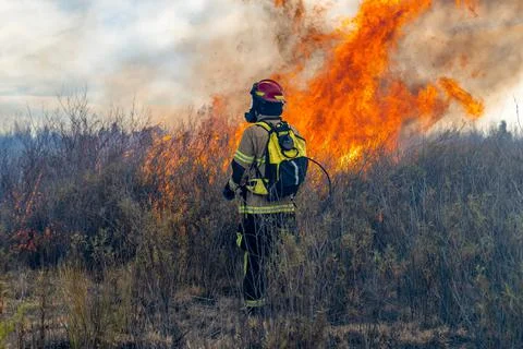 Firefighter trying to put out a forest fire Stock Photos