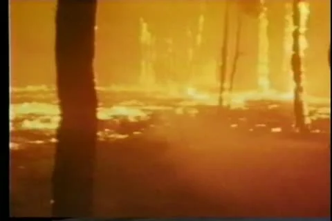 Firefighter trying to put out a raging forest fire Stock-Footage 11345680