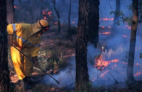 Firefighter tryng to stop a fire Stock Photos