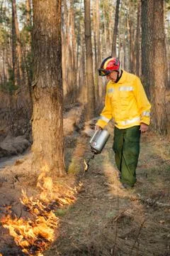 Firefighter using a controlled fire in the forest Stock Photos